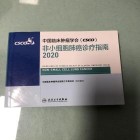 中国临床肿瘤学会（CSCO）非小细胞肺癌诊疗指南2020