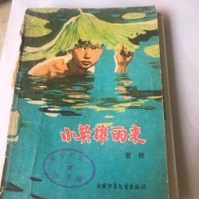 小英雄雨来