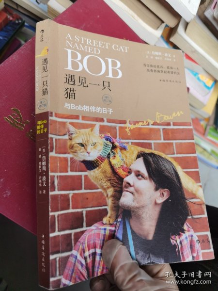 遇见一只猫:与Bob相伴的日子