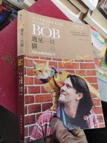 遇见一只猫:与Bob相伴的日子