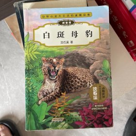 动物小说大王沈石溪精品集：白斑母豹（拼音版）