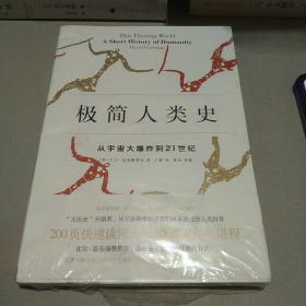 极简人类史：从宇宙大爆炸到21世纪