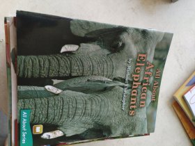 海尼曼 少儿英语（56册）