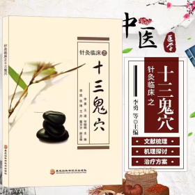 针灸临之十三鬼穴