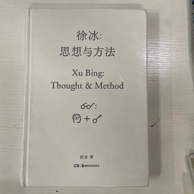 徐冰：思想与方法