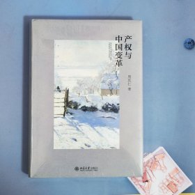 产权与中国变革