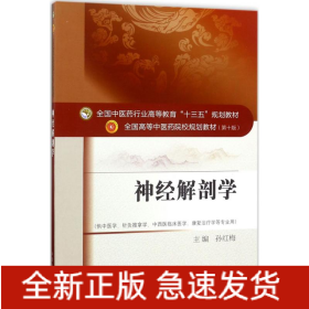 神经解剖学