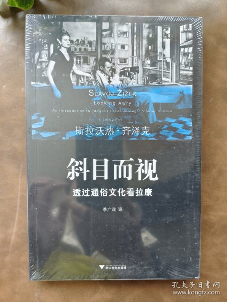 斜目而视：透过通俗文化看拉康