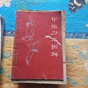 甲组刀术图解