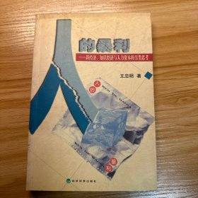 人的暴利:新经济、知识经济与人力资本的另类思考