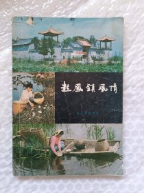 起风镇风情