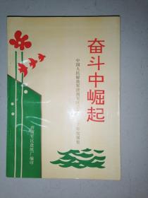 奋斗中崛起——中国人民解放军济南军区造纸厂三十年发展史