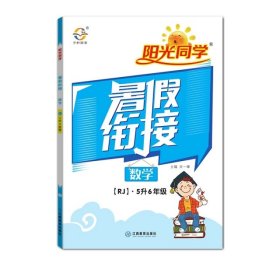 【正版书籍】2020阳光同学暑假衔接数学5升6年级-人教版L