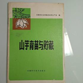 山芋育苗与贮藏