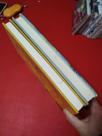 THE CONTINUITY OF AKIRA BY OTOMO KATSUHIRO（两本合售看图拍）