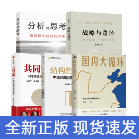 战略与路径+分析与思考+共同富裕+国内大循环+结构性改革
