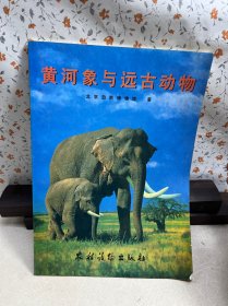 黄河象与远古动物:[图集]有一处笔记