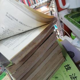 当代外国流行小说名篇丛书 (11本合售):祸起萧墙、终端人、大暴光、致命的治疗、交易场、神秘之球、裸面、我在黑手党的秘密生涯、世无定事、失落的世界、紧急传染