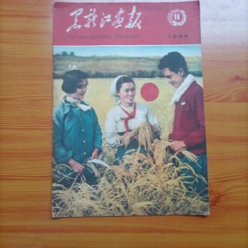 黑龙江画报（1960年第11期）