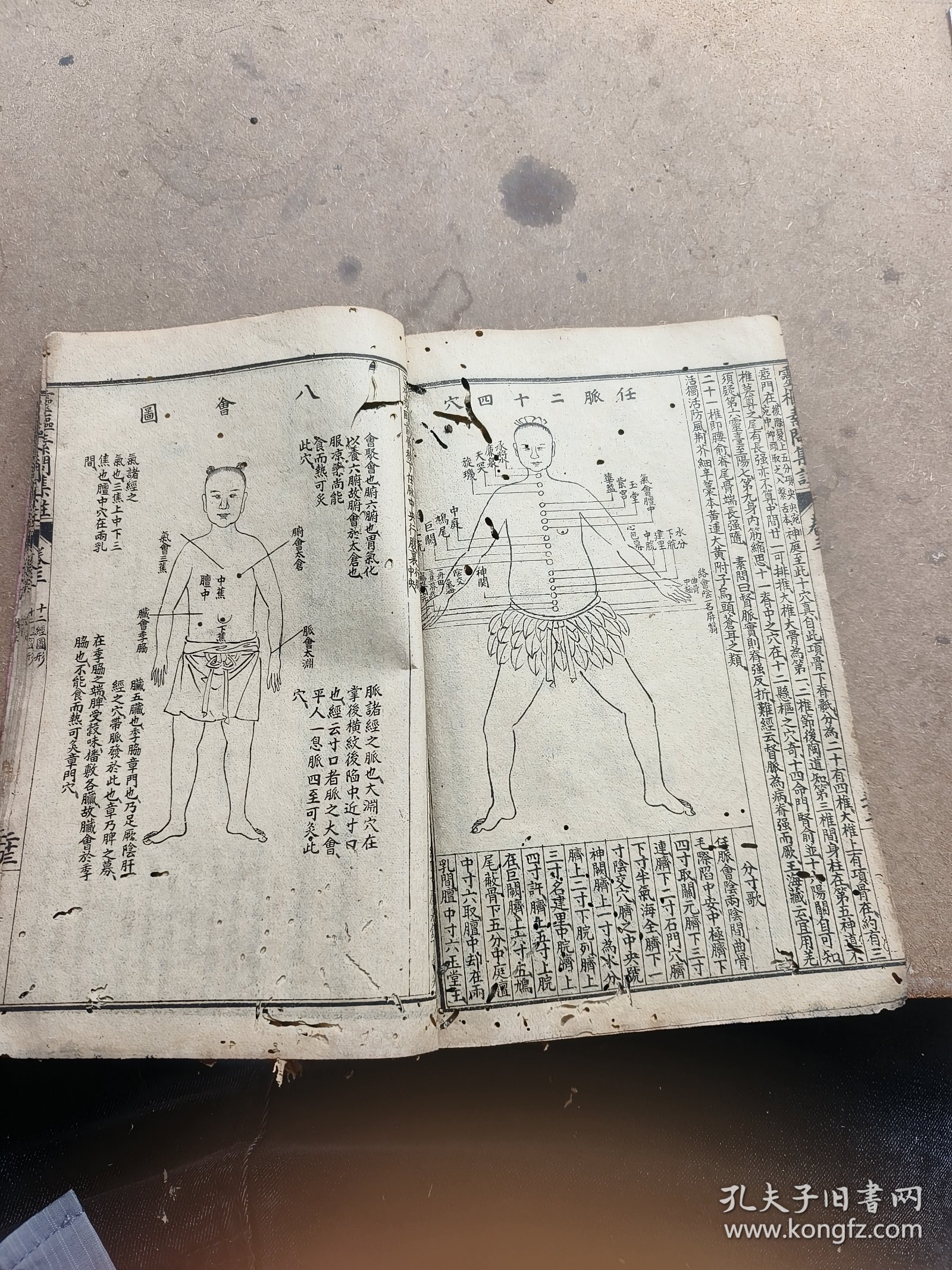 中医。黄帝内经，灵素集注节要十二卷合订完整一套全，陈修园