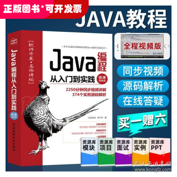 Java编程从入门到实践（微课视频版）