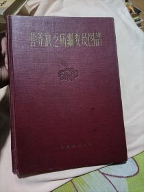 营养缺乏纲要及图谱