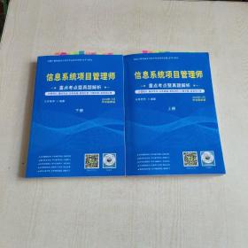 信息系统项目管理师 重点考点暨真题解析 上下册