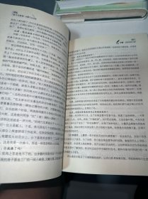 奋斗与思考：何新人生自述