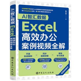 AI智汇数据：EXCEL高效办公案例视频全解