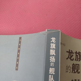 龙旗飘扬的舰队：中国近代海军兴衰史