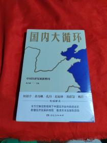 国内大循环(何毅亭、黄奇帆、孔丹、迟福林、姚洋、黄群慧等撰文)