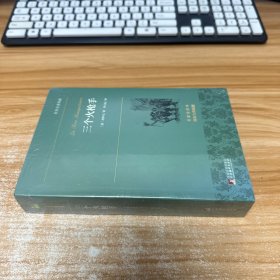 三个火枪手 世界名著典藏 名家全译本 外国文学畅销书 未开封