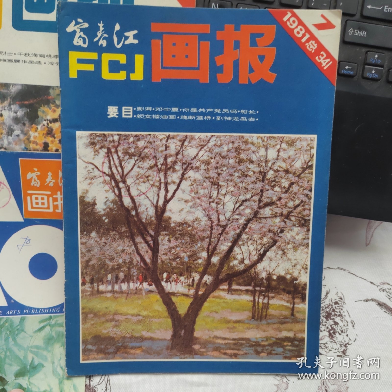 富春江画报（5本）