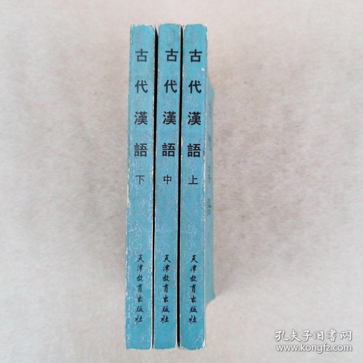古代汉语（修订本）上中下