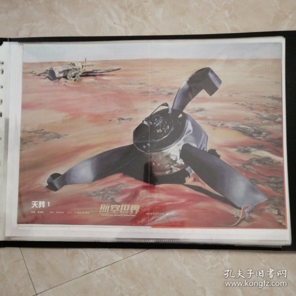 《天葬1》，著名画家宫浩钦的航空画，航空世界插页油画，8开大小。