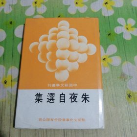 朱夜自选集 中国新文学丛刊