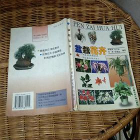 盆栽花卉