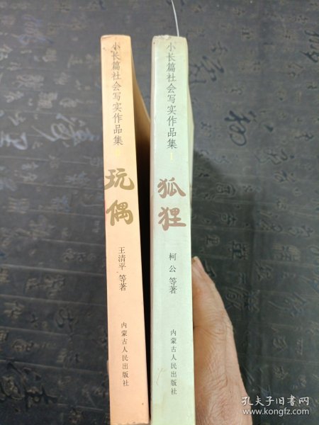 小长篇社会写实作品集：狐狸