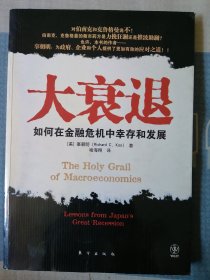 大衰退：如何在金融风暴中幸存和发展