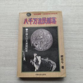 一版一印《八千万流民部落：中国人口大流动纪实》