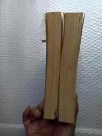 心灵的激情：弗洛伊德传记小说（上、下）