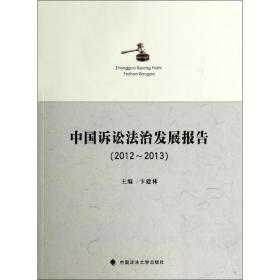 中国诉讼法治发展报告（2012～2013）