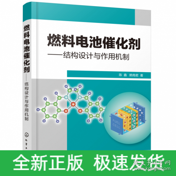 燃料电池催化剂——结构设计与作用机制