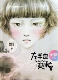 左半边翅膀：我不是坏女生IV