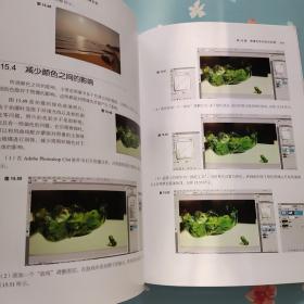 数码摄影师生存手册：照片特效与创意色彩