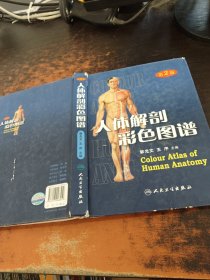 人体解剖彩色图谱