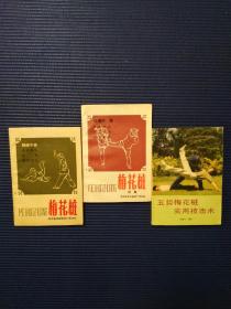 梅花桩 梅花桩续 五势梅花桩实用技击术 3册