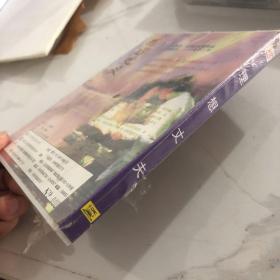 正版VCD 理想丈夫