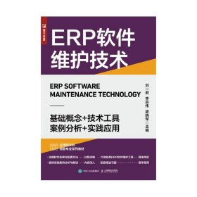 ERP软件维护技术