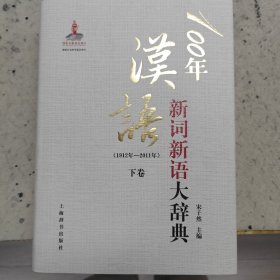 100年汉语新词新语大辞典